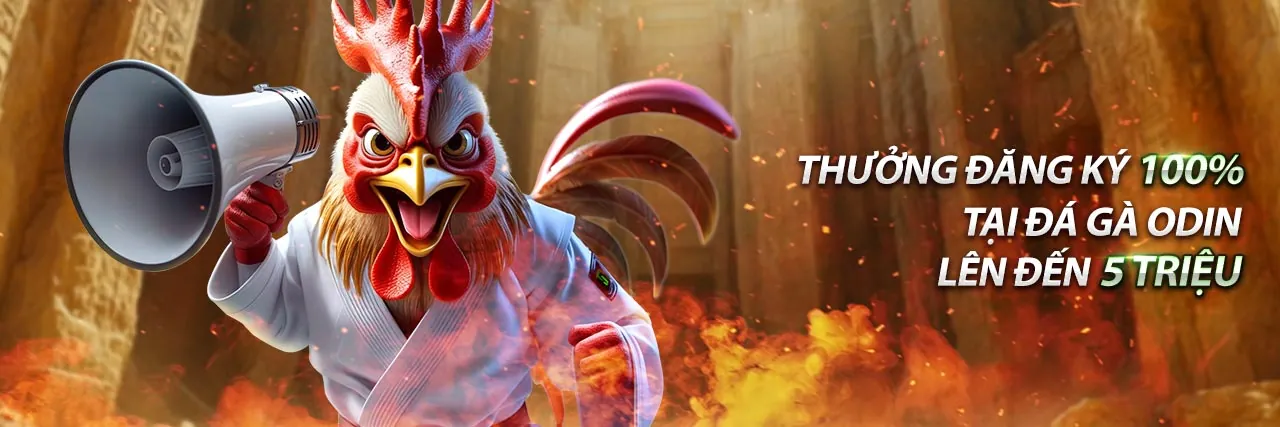 Đội ngũ hỗ trợ khách hàng Bong88 chuyên nghiệp